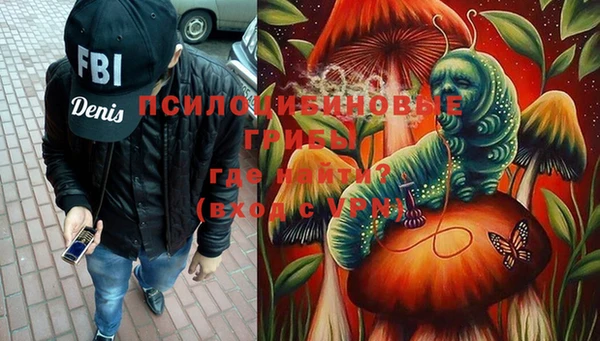 apvp Арсеньев